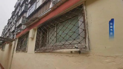 问政提前探 石棉制品厂宿舍自建小院阻碍施工，设计单位无奈应对